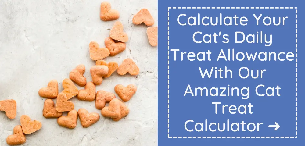 Wet and/or Dry Cat Food Calculator: How Much to Feed a Cat